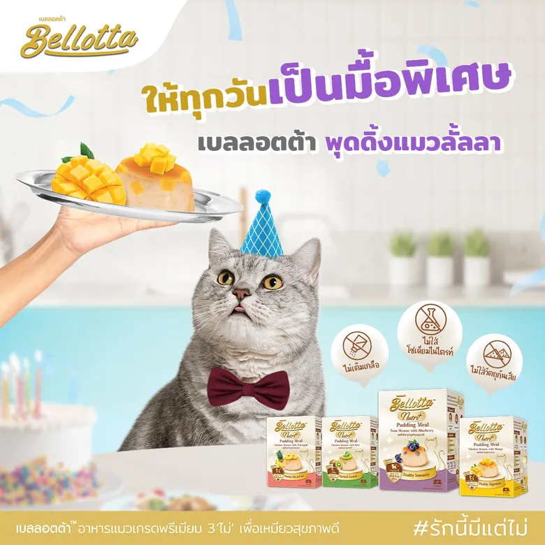 เบลลอตต้า ส่ง "พุดดิ้งมีล" มูสเนื้อสัตว์ 4 สูตรเด็ด เอาใจเจ้าเหมียว