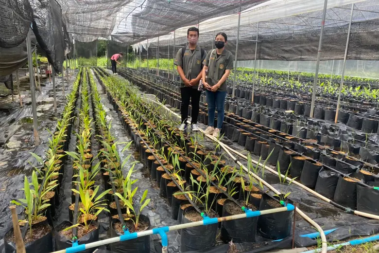 กรมวิชาการเกษตรถ่ายทอดเทคนิคเพาะเลี้ยงพืชสมุนไพร จากงานวิจัยสู่การผลิตเชิงพาณิชย์ เพิ่มผลผลิตและคุณภาพสมุนไพรเพื่อการแพทย์ รองรับภาคอุตสาหกรรม สู่การสร้างอาชีพ