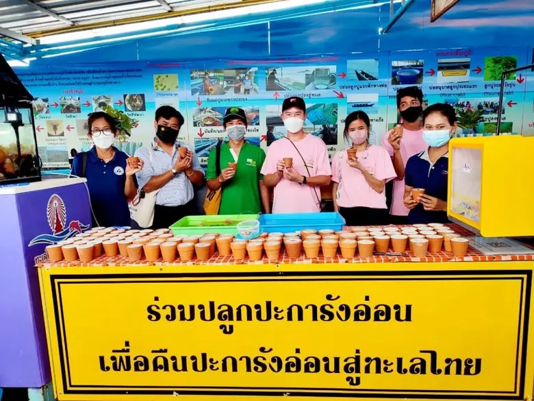 จุฬาฯ วิจัยเพาะขยายพันธุ์ปะการังอ่อนก่อนสูญพันธุ์สร้างสมดุลระบบนิเวศใต้ทะเล