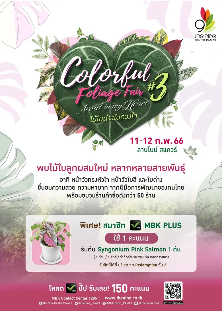 เดอะไนน์ เซ็นเตอร์ พระราม 9 รวมแรร์ไอเทมไม้ใบไม้ด่างยอดฮิตในงาน "Colorful Foliage Fair" ครั้งที่ 3