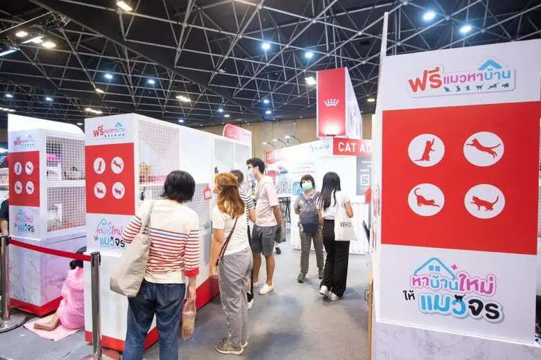 กลับมาอีกครั้ง'Thailand Cat Show 2023' งานแมวสุดยิ่งใหญ่แห่งปีที่ ทาสแมวทุกคนรอคอย เริ่ม 3 - 5 มีนาคม 2566 นี้ ที่เซ็นทรัล ลาดพร้าว