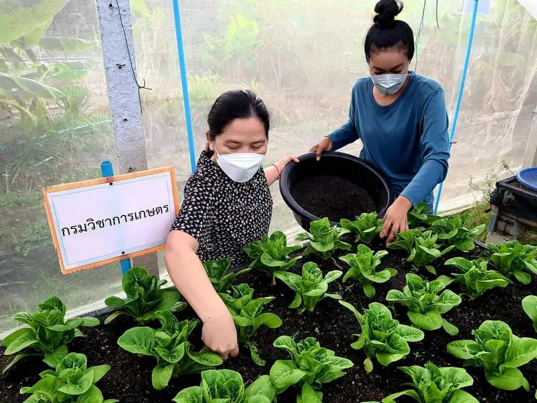 นายระพีภัทร์ จันทรศรีวงศ์ อธิบดีกรมวิชากา...