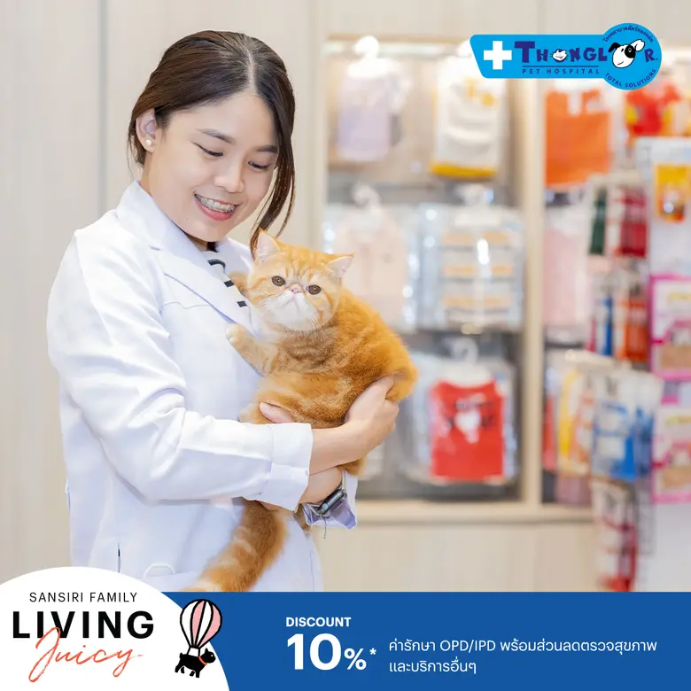 ครั้งแรก! "แสนสิริ" ผนึก 15 พาร์ทเนอร์ชั้นนำและระดับโลก ส่งประสบการณ์ "Sansiri Family Living Juicy" ย้ำผู้นำอันดับหนึ่งด้าน After-Sales Service