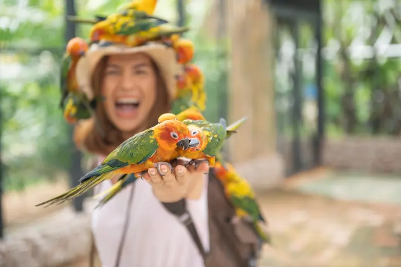 สัตว์เลี้ยงกลุ่ม Exotic Pet ครองอันดับ 3 สัตว์เลี้ยงยอดฮิต ปี 2566