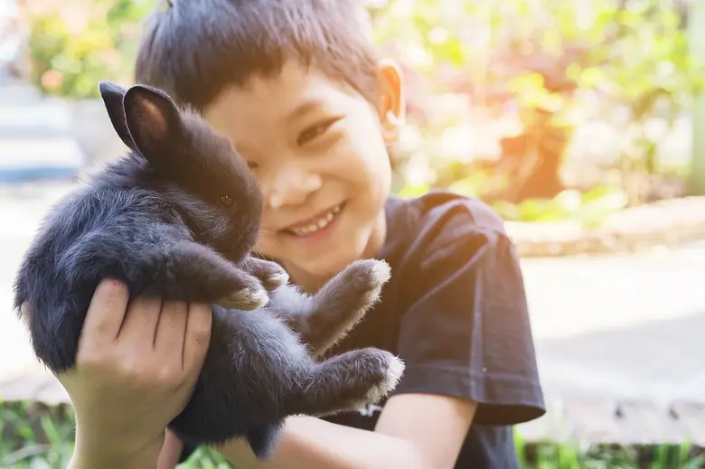 สัตว์เลี้ยงกลุ่ม Exotic Pet ครองอันดับ 3 สัตว์เลี้ยงยอดฮิต ปี 2566