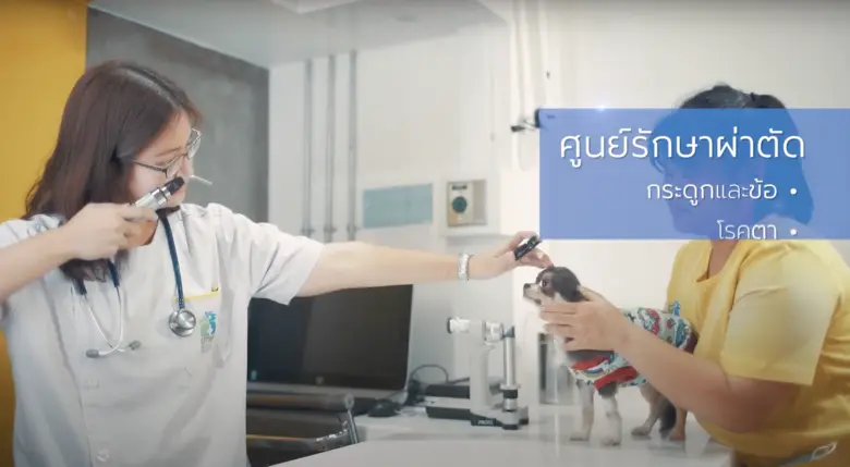 ให้บริการตรวจรักษา และให้คำปรึกษาปัญหาด้า...