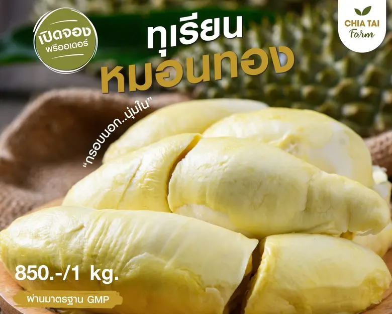 พร้อมแล้ว! เจียไต๋ฟาร์มชวนคนรักทุเรียนมาอิ่มอร่อย จุใจไปกับบุฟเฟ่ต์ทุเรียนหมอนทองสุดพรีเมียม