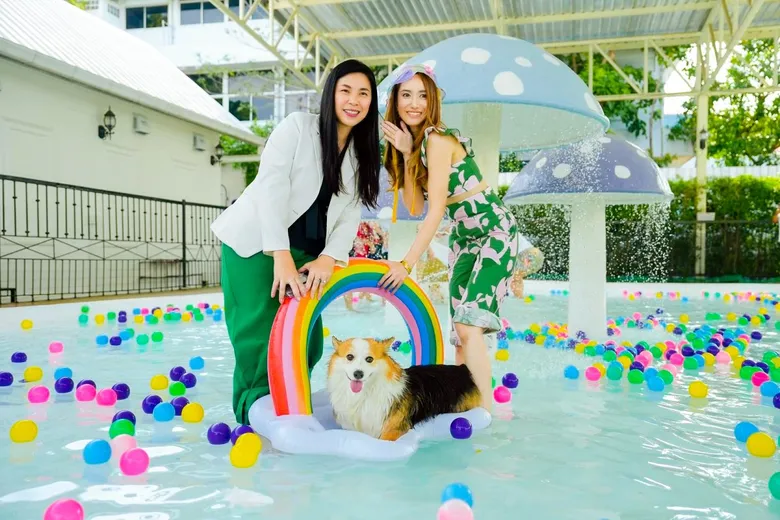 เมเจอร์ ดีเวลลอปเม้นท์ เปิดปาร์ตี้ ชวนน้องหมาเล่นน้ำคลายเครียด MAJOR SUMMER DOG PAWTY