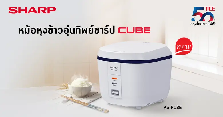 "บริษัท กรุงไทยการไฟฟ้า จำกัด" ผู้แทนจำหน...
