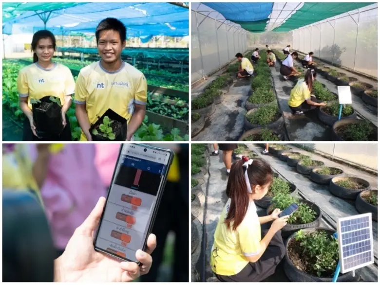 NT สานพลังขับเคลื่อน CSR ในโครงการเพาะพันธุ์ดี NT Youth Club สร้างความเข้มแข็ง และยกระดับชุมชนให้สามารถพึ่งพาตนเองได้อย่างยั่งยืน