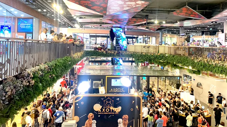 Axotic Cafe & Farm ทุ่มงบ 20 ล้านบาท เปิดตัวฟาร์มสุนัข "โกลเด้นดูเดิ้ล" ใหญ่ที่สุดในไทย