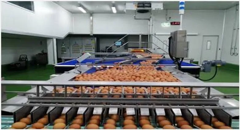 CPF pledges to manage food loss and waste sustainably