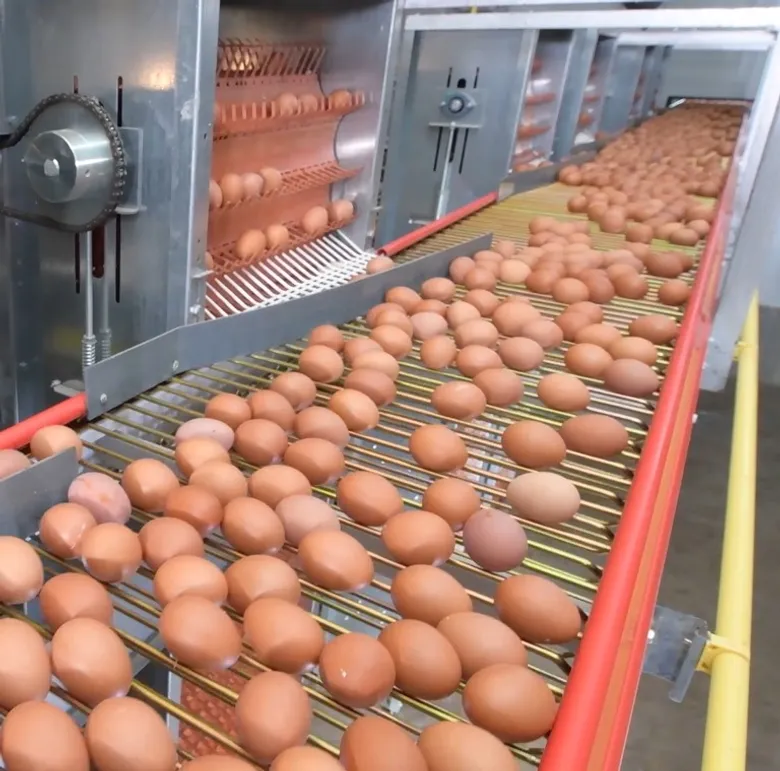 CPF pledges to manage food loss and waste sustainably