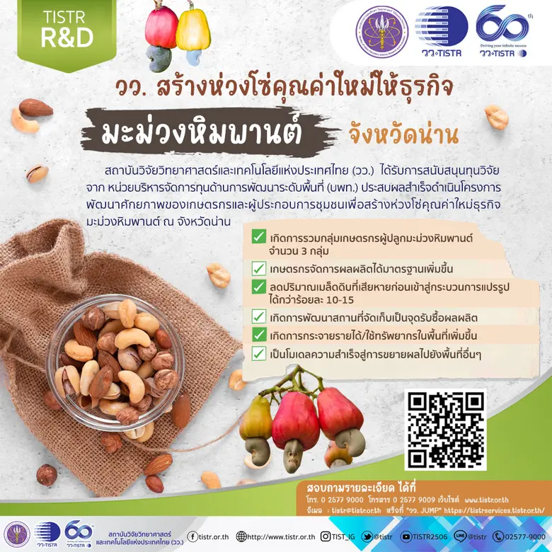 "มะม่วงหิมพานต์" เป็นพืชเศรษฐกิจที่สร้างม...