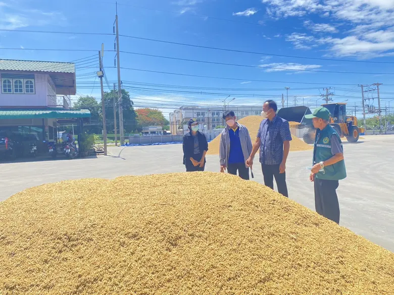 สำนักงานเกษตรอำเภอเขาย้อย ภายใต้กรมส่งเสริมการเกษตร ร่วมดำเนินการโครงการตลาดนัดข้าวเปลือก ปีการผลิต 2565/2566