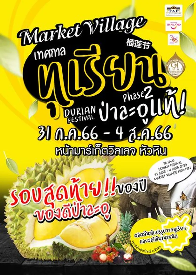 เทศกาลทุเรียนป่าละอู Market village Hua Hin