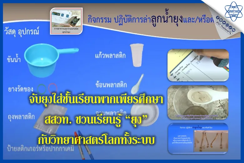 จับยุงใส่ชั้นเรียนพากเพียรศึกษา สสวท. ชวนเรียนรู้ "ยุง" กับวิทยาศาสตร์โลกทั้งระบบ
