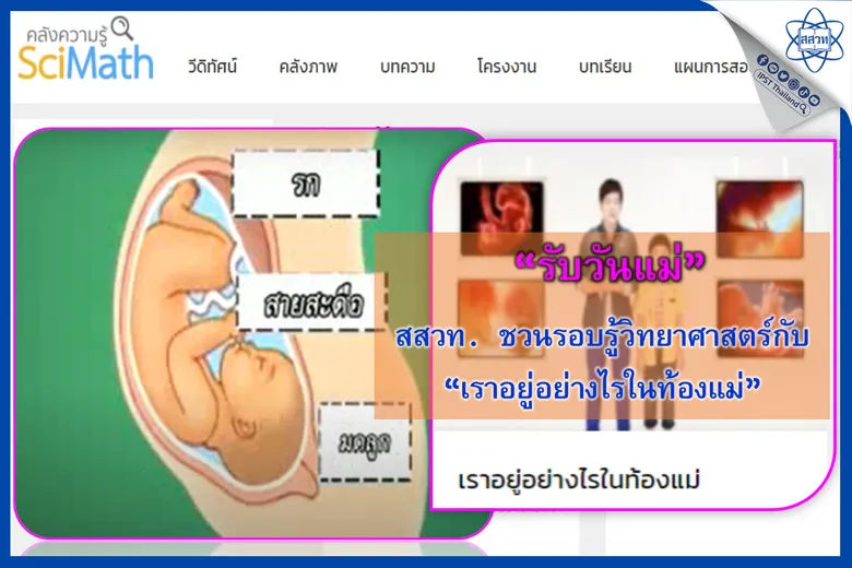 รับวันแม่ สสวท. ชวนรอบรู้วิทยาศาสตร์กับ "เราอยู่อย่างไรในท้องแม่"