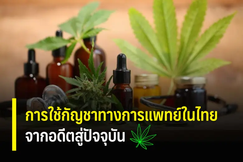 การใช้กัญชาทางการแพทย์ในไทยจากอดีตสู่ปัจจุบัน