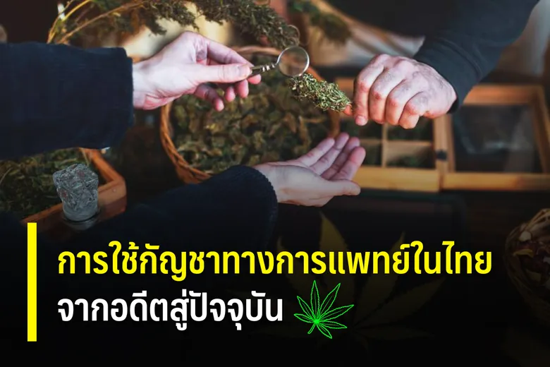 การใช้กัญชาทางการแพทย์ในไทยจากอดีตสู่ปัจจุบัน