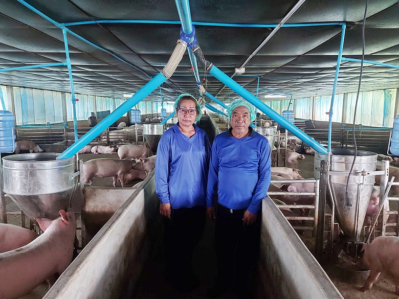 "บุญเกิดฟาร์ม" บทพิสูจน์คอนแทรคฟาร์มเลี้ยงหมูพลิกชีวิต ซีพีเอฟส่งเสริมเกษตรยั่งยืนใช้เทคโนโลยียกระดับสู่สมาร์ทฟาร์ม ผลิตหมูคุณภาพเพื่อผู้บริโภค