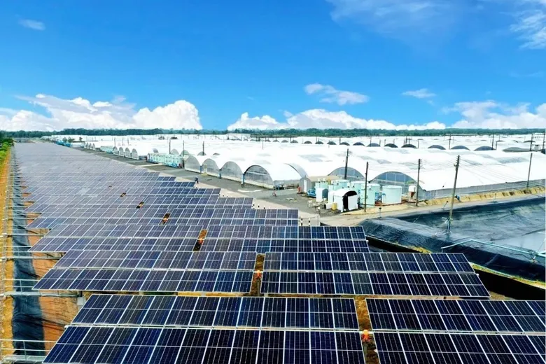CP Foods Accelerates Shift to 100% Renewable Energy for Sustainability