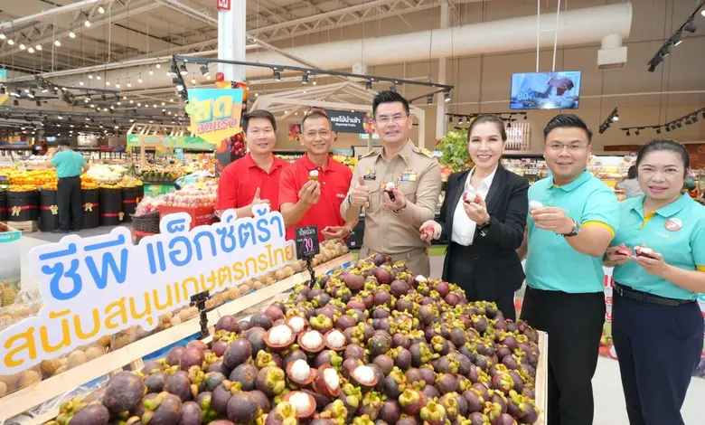 แม็คโคร-โลตัส ภายใต้ซีพี แอ็กซ์ตร้า ผนึกกำลังกรมการค้าภายใน รับซื้อมังคุดและผลไม้ใต้กว่าล้านกิโลกรัม รับมือผลผลิตล้นตลาด