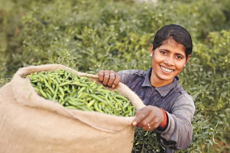 More than 70% of farmers have already seen large impacts of climate change on their farm, new global research across 8 countries reveals