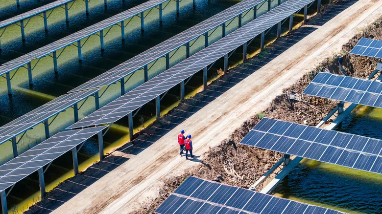 Dongying's State Grid Leads the Charge in Sustainable Energy, Setting New Standards in Hekou District's Low-Carbon Evolution