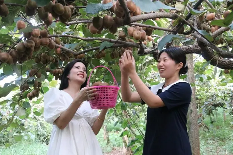 อำเภอเฟิงซิน ในมณฑลเจียงซีทางตะวันออกของจ...