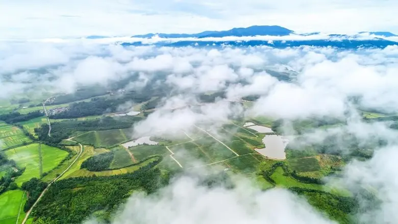 Xinhua Silk Road: อำเภอเฟิงซิน ในมณฑลเจียงซีของจีน จัดงานฉลองผลผลิตกีวีอุดมสมบูรณ์