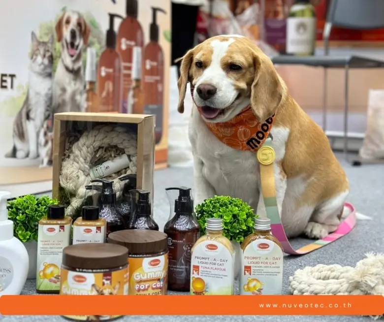 ผ่านไปแล้วกับงาน "Pet Fair Asia 2023" งาน...