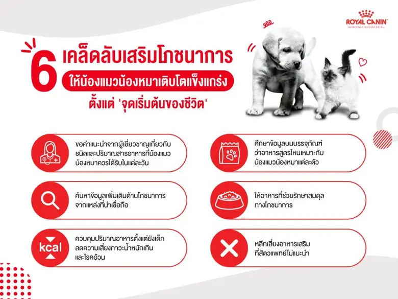 ในช่วงไม่กี่ปีมานี้ ผลิตภัณฑ์เพื่อสุขภาพส...