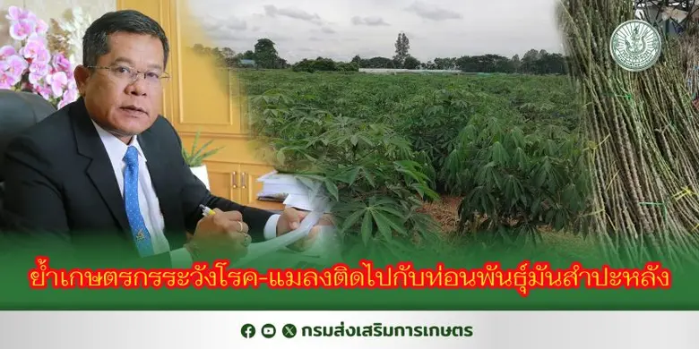 นายรพีทัศน์ อุ่นจิตตพันธ์ รองอธิบดีกรมส่งเสริมการเก...