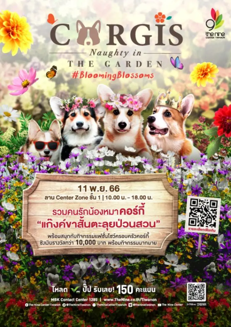 เดอะไนน์ เซ็นเตอร์ ติวานนท์ ศูนย์การค้าใน...