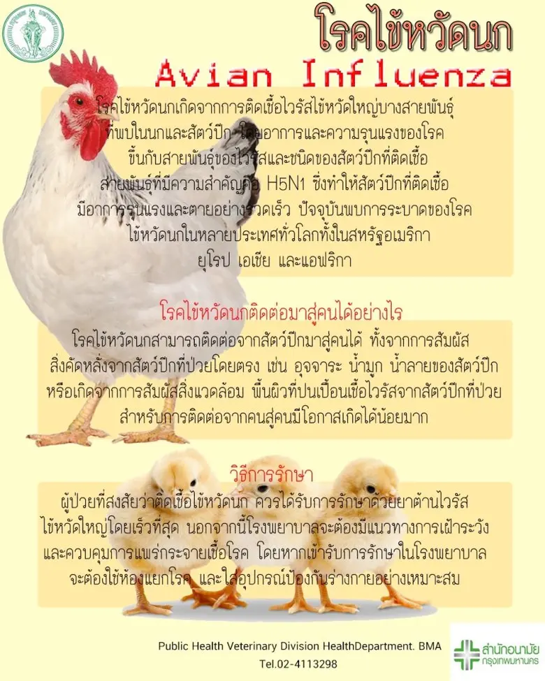 กทม.เดินหน้าออกหน่วยสัตวแพทย์เคลื่อนที่สุ่มตรวจสัตว์ปีกเฝ้าระวังโรคไข้หวัดนก