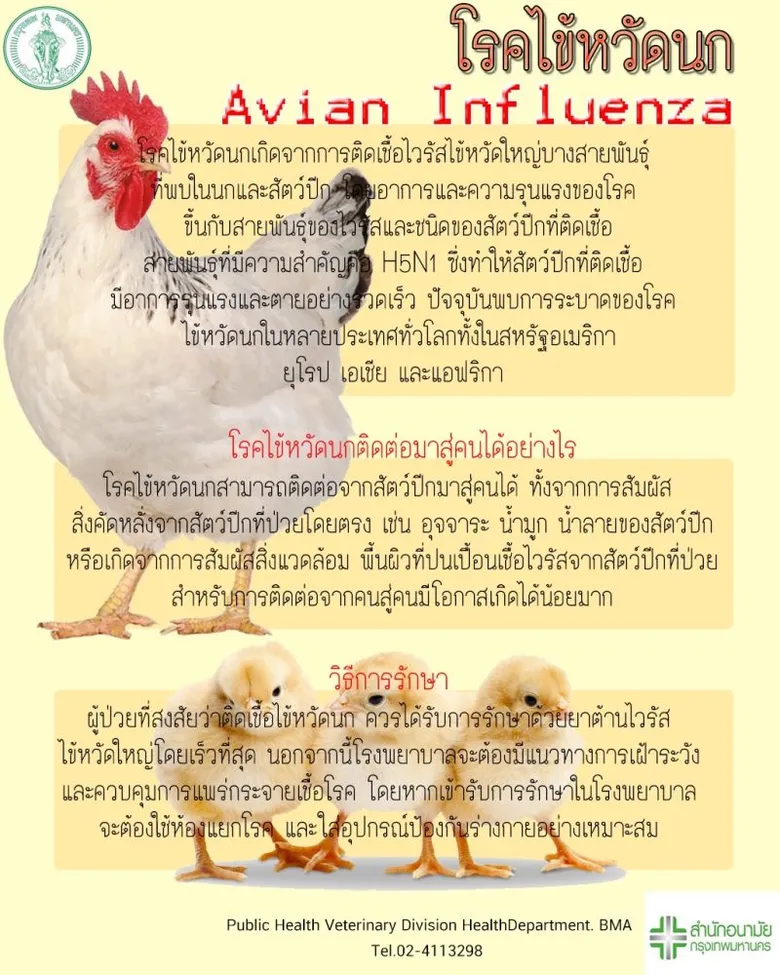 กทม.เดินหน้าออกหน่วยสัตวแพทย์เคลื่อนที่สุ่มตรวจสัตว์ปีกเฝ้าระวังโรคไข้หวัดนก