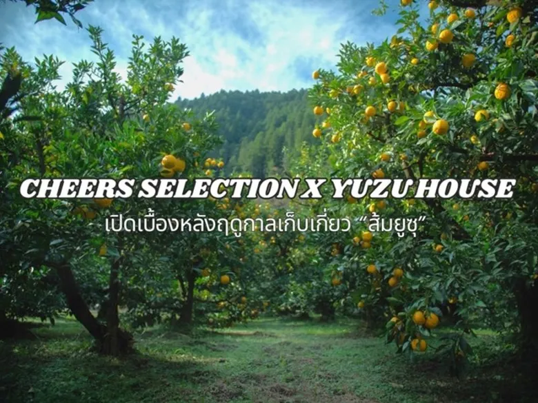 Cheers Selection x Yuzu House เปิดเบื้องหลังฤดูกาลเก็บเกี่ยว "ส้มยูซุ"เตรียมส่งนวัตกรรมเครื่องดื่มรสชาติใหม่สู่ตลาดพรีเมียม 15 พฤศจิกายนนี้