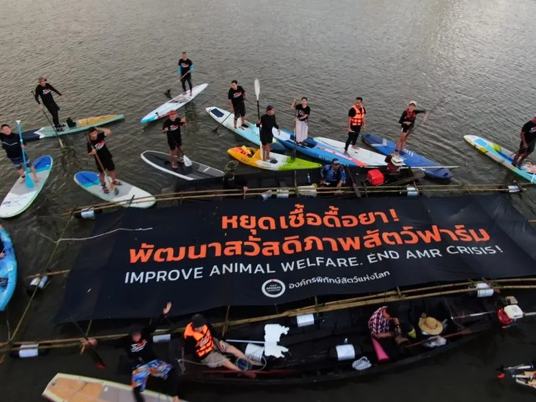 องค์พิทักษ์สัตว์แห่งโลก ประเทศไทย รณรงค์ต้านเชื้อดื้อยาจากฟาร์มอุตสาหกรรม คิกออฟแคมเปญ "บึ๊ด จ้ำ บึ๊ด ฮึดสู้เพื่อสัตว์ฟาร์ม"