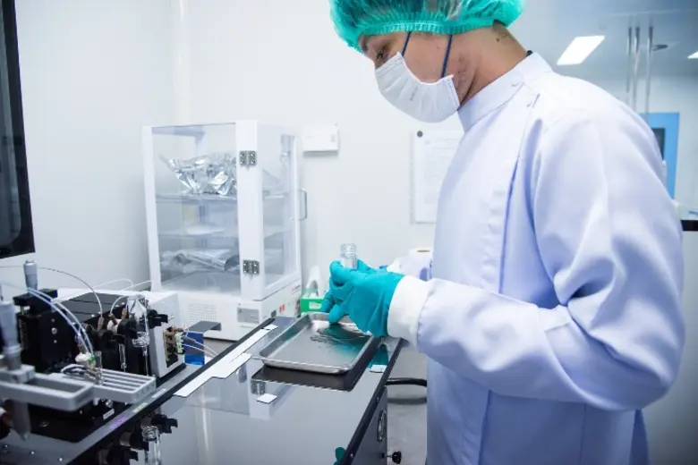Chula Researchers Develop Progesterone Test Kit to Determine Swine Pregnancy to Assist Farm Management