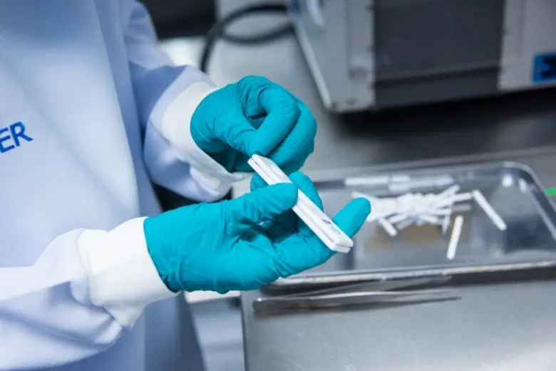 Chula Researchers Develop Progesterone Test Kit to Determine Swine Pregnancy to Assist Farm Management