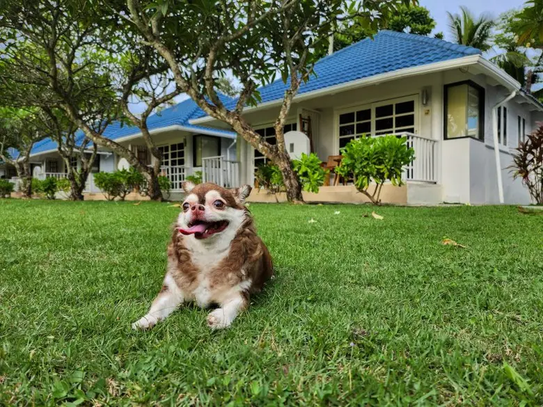 โรงแรมบัญดารา ออนซี ระยอง เอาใจคนรักสัตว์ เปิด package - Pet Friendly เดินหน้ายกระดับสู่ Eco Friendly Hotel