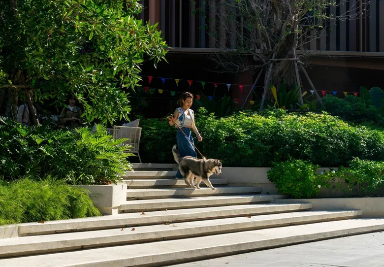 Centara Hotels Embrace Pet-Friendly Stays with No Weight Restrictions in Korat, Ubon, Udon, and Ayutthaya