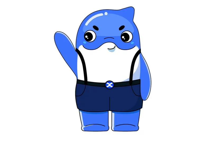 BingX Charity Partners with Whale and Dolphin Conservation