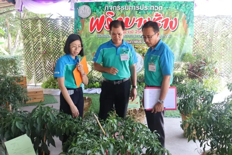 เกษตรเขต 2 ภาคตะวันตก จับมือสำนักงานเกษตรจังหวัดสมุทรสงคราม จัดกิจกรรมการประกวดพริกบางช้าง ประจำปี 2567 โครงการสวนเกษตรตามแนวพระราชดำริ อุทยาน ร.2