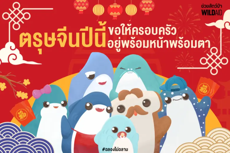 ตรุษจีนนี้ ไวล์ดเอดขอคนรุ่นใหม่ชวนครอบครัว #ฉลองไม่ฉลาม หลังงานวิจัยพบหูฉลามที่ขายในไทยกว่า 60% มาจากฉลามเสี่ยงสูญพันธุ์
