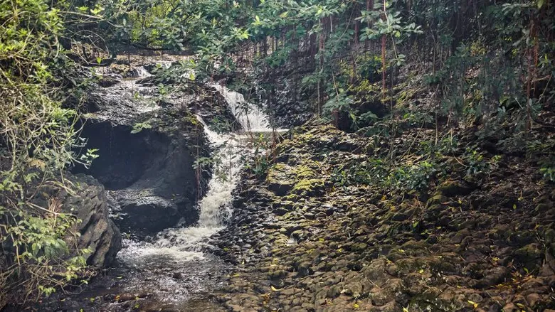KOH SAMUI'S HIDDEN WATERFALLS: A JOURNEY THROUGH NATURE'S ARTISTRY