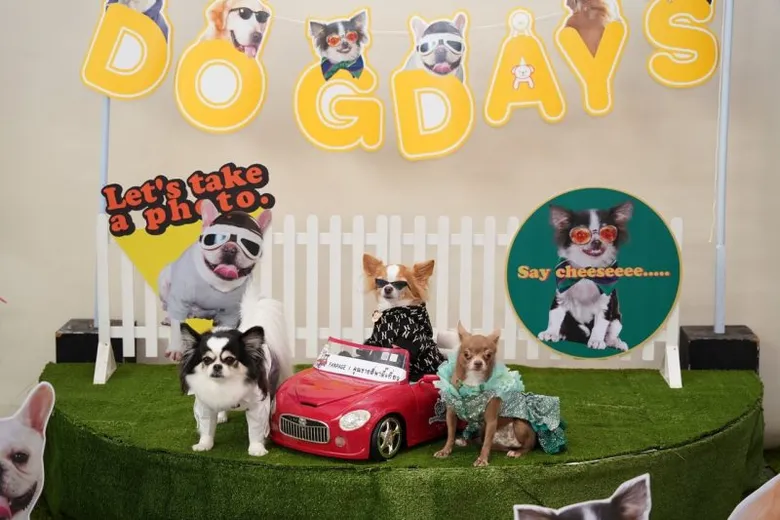 ซาบซึ้ง อบอุ่น ใจฟูสุดๆ ทุกเสียงยืนยันน่ารักเกินถอนตัว "DOG DAYS ด็อกเดย์ สี่ขาว้าวุ่น" หนังที่ทุกคนควรได้ดู และคนรักหมาห้ามพลาด!
