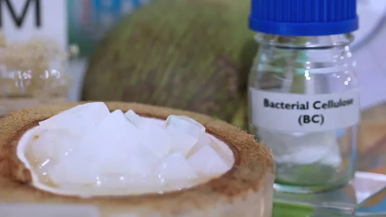 Cello-gum Innovation Revolutionizes the Food Industry: Turning Coconut Jelly Biowaste into Billions in Raw Material Value