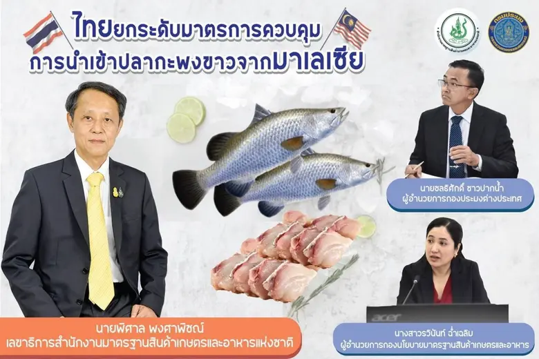 ไทยลุยยกระดับมาตรการควบคุมนำเข้าปลากะพงขาวจากมาเลเซีย